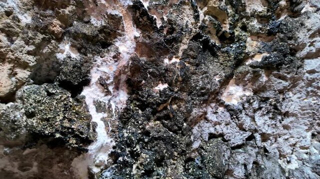 Xemxija, Malta 29.07.2026 - Heritage trail, Roman Baths Ancient stone surfaces show erosion and fungal growth. Texture details reveal history and natural decay. This footage captures archaeological we