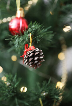 Close-up of Christmas decoration pine cone on tree