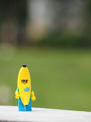 Fototapeta premium Indonesia - December 8, 2018 : Mini toy of action figure at outdoor with blurred background. Toy photography concept design. Banana guy character at garden.