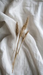 Obraz premium Minimalist Dried Grass Stems on A Textured Soft White Scandinavian Organic Fabric Background Joy