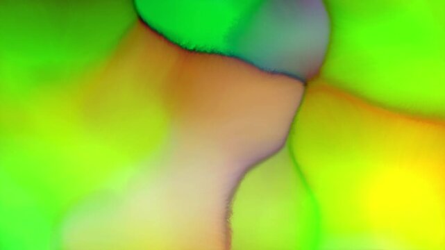 Soft Color‑Block Abstract Dynamic Background