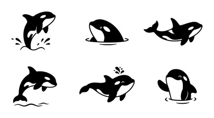 Cute Orca Whale Vector Icons Set, Killer Whale Marine Mammal Illustrations, Black and White Ocean Wildlife Graphics for Kids and Education © Shakib