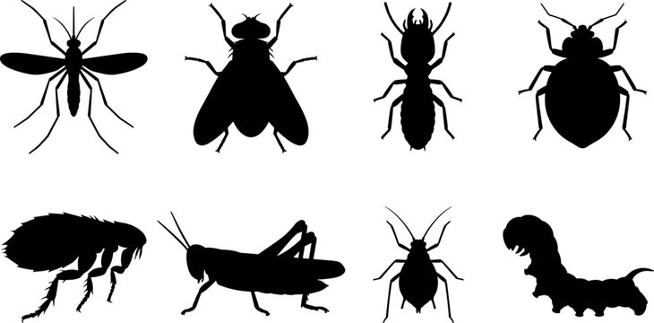Set of pest insect black silhouettes featuring mosquito housefly termite bedbug flea grasshopper aphid caterpillar isolated on white background