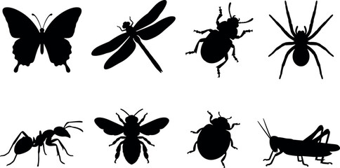 Set of insect black silhouettes featuring butterfly dragonfly beetle spider ant bee ladybug grasshopper isolated on white background © Mst