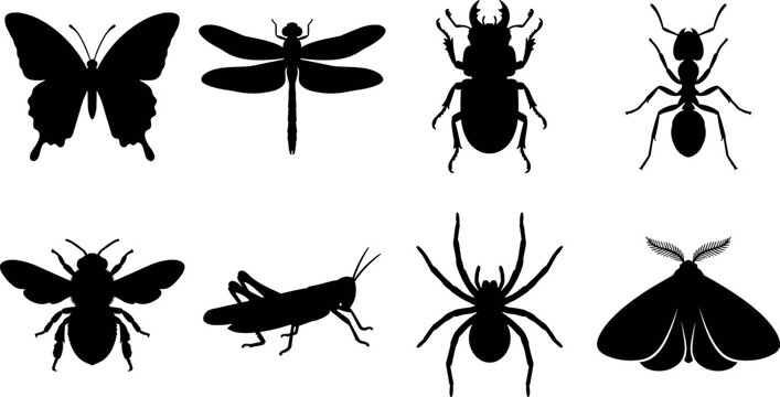 Set of insect black silhouettes featuring butterfly dragonfly stag beetle ant bumblebee grasshopper spider moth isolated on white background