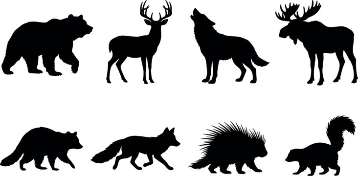 Set of forest wild animal black silhouettes featuring bear deer wolf moose raccoon fox porcupine skunk isolated on white background