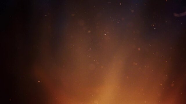 Dust Particles Falling Gently Soft Neutral Background Slow Motion