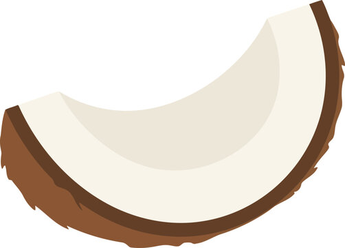 Fresh coconut slice isolated on white background