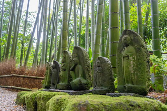 Jizo Bosatsu statues in the bamboo forest of Hokoku-ji, Kamakura