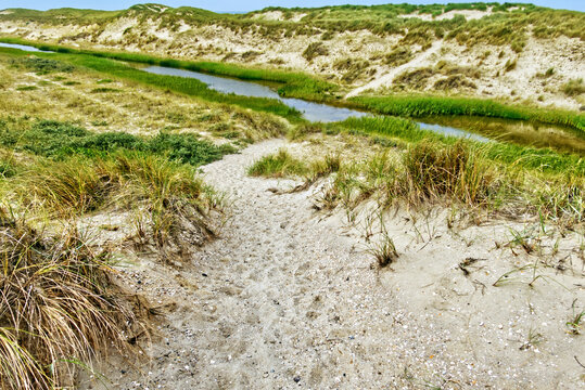 Sandy path weaves through a tranquil coastal dune scene, bordering lush green grass and a clear-sky stream