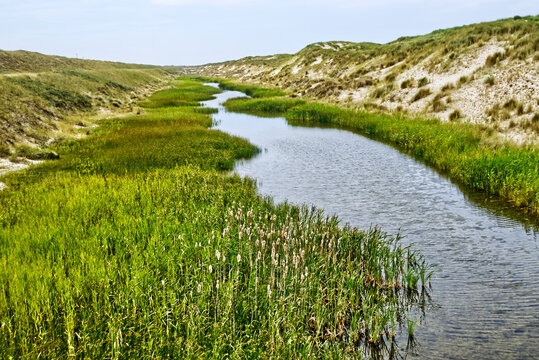 Curved stream winds through a lush green valley beside sand dunes and marshland, nurturing a serene natural ecosystem