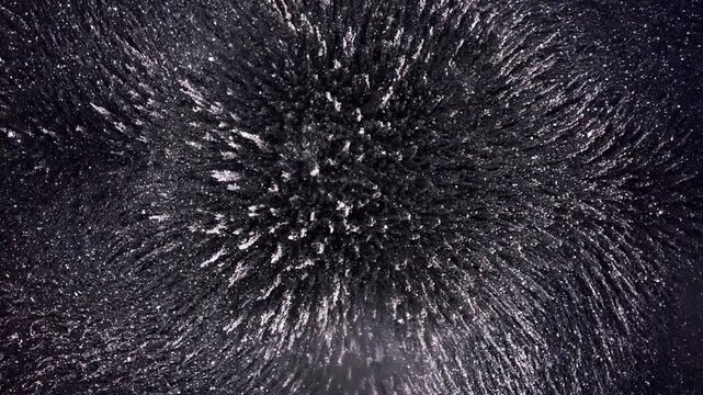 Macro shot of magnetic field lines and patterns created by iron filings under the influence of a magnetic field.