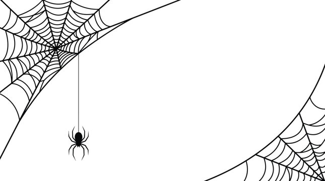 Spider Web Corner Vector Frame Illustration