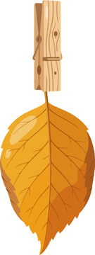 Yellow autumn leaf hanging from a wooden clothespin