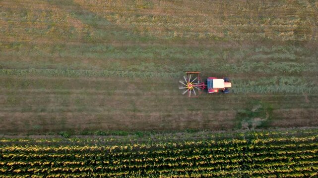 Top down aerial view of a tractor with a rotary rake raking hay in warm evening light (Austria)
