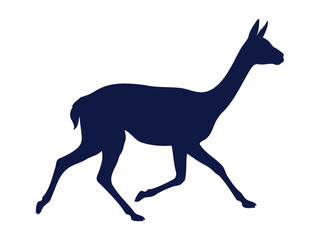 Obraz premium Llama standing in profile silhouette for mountain wildlife themes