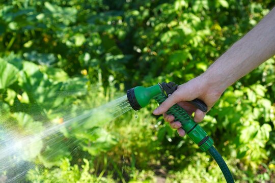 A person waters dense green foliage with a garden hose, ensuring plants remain hydrated. The scene captures a summer gardening activity focused on plant care and maintenance