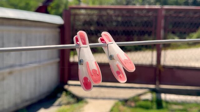 Two pink translucent plastic clothespins hanging on outdoor clothesline with thin spider web in sunny countryside backyard