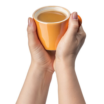 Woman holding a white coffee cup with latte isolated on white background p n g a i generated woman hand