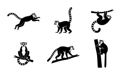 Ring-Tailed Lemur Vector Icons, Primate Wildlife Silhouettes, Madagascar Fauna Graphics, Jungle Animal Poses, Black and White Illustration Set