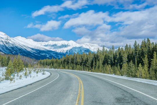 Jasper National Park, Highway 11, a two lane road through pine forests, and view of snowcapped mountains.