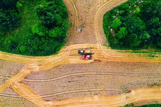 Red tractor navigating through field paths surrounded by lush green trees and brown soil in Finland