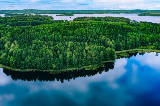 Lush green forest landscape reflecting on calm lake water under a clear blue sky in Finland