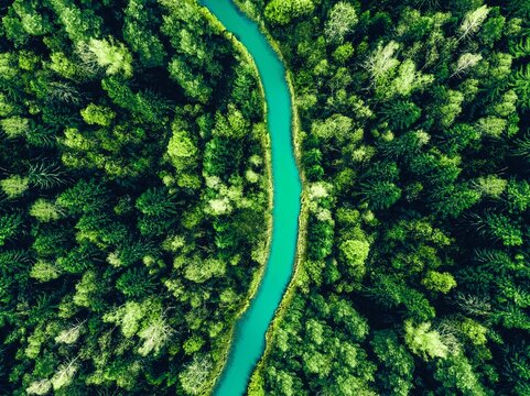 Curved river meandering through lush green forest landscape under bright blue sky 