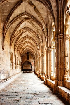 Stone arches and columns in a medieval cloister with sunlight illuminating the hallway