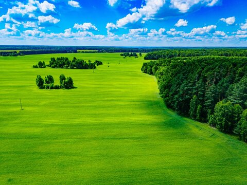 Lush green fields punctuated by patches of trees under a bright blue sky with fluffy clouds, aerial view