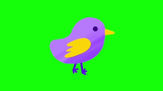 4K motion graphics animation of walking chick on chroma key green screen background.