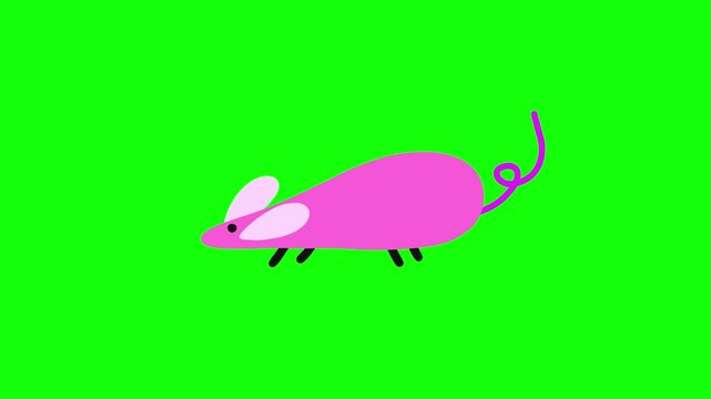 4K motion graphics animation of walking mouse on chroma key green screen background.