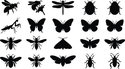 Insects and Bugs Silhouettes Set for Educational Nature and Wildlife Graphic Design © Md