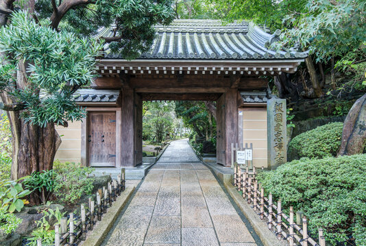 Hokokuji Temple in the hills of Kamakura, the entrance gate, and pathway leading into the temple grounds. Trees and shrubs.