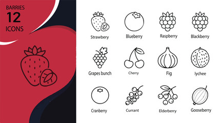Minimalist berry fruit line icons, set of 12 vector symbols including strawberry, blueberry and raspberry, clean black outline food graphics © pixel art new
