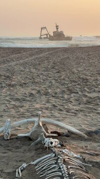 The Zeila shipwreck at sunset on the Skeleton Coast in Namibia, southwest Africa.