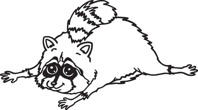Lazy Raccoon Lying Flat Sploot Line Art Coloring Page Inspired by Viral Internet Meme Raccoon