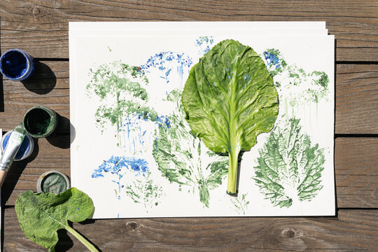 Prints of various plants made with green and blue paint on white paper, using the natural monotype technique, as well as a fresh green leaf