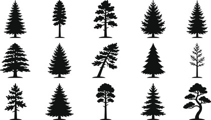 Fototapeta premium Set of pine and evergreen trees vector illustrations, forest silhouettes design elements