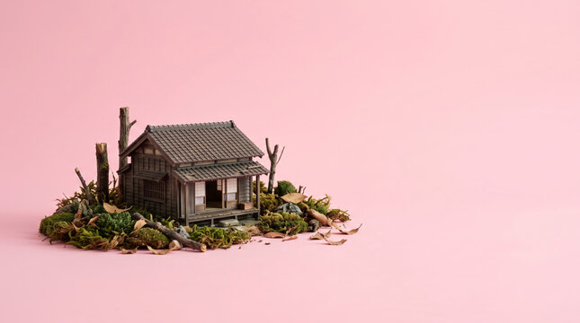 Abandoned Traditional Japanese House Surrounded by Dead Trees, Rural Depopulation and Empty Home Concept