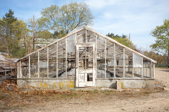 A derelict greenhouse on a farm, ripped plastic sheeting and missing or broken glass, the property demolished in 2015.