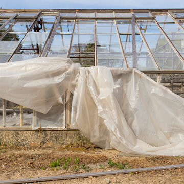 A derelict farmhouse and outbuildings, ripped plastic sheeting hanging from a glasshouse, the property demolished in 2015.