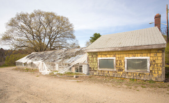 A derelict farmhouse and outbuildings, ripped plastic sheeting, the property demolished in 2015.