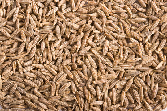 A pile of cumin spice close up