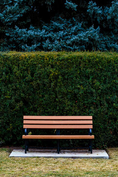 Wooden bench, Manito Park, Spokane, by a thick hedge and tall conifers.