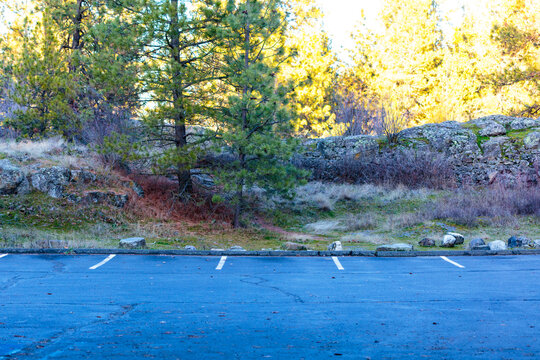 A parking lot in Manito Park, marked parking bays, blue road surface.