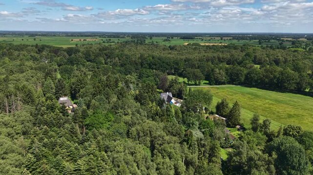 Aerial Drone View over Dense Green Forest Canopy near Bremen, Germany