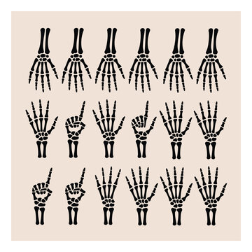 Colecci&oacute;n de gestos de la mano y anatom&iacute;a &oacute;sea del esqueleto humano