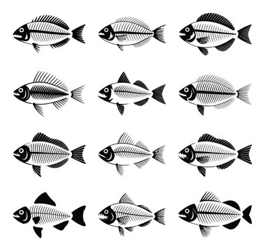 Colecci&oacute;n de doce esqueletos de peces estilizados en blanco y negro