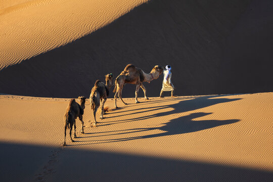 Berber Camel Herder in the Chaggaga Dunes